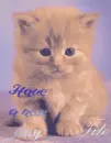 have a nice day