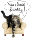 Have a Speical Sunday