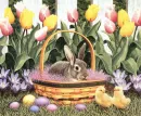 Easter Time