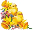 Easter Chicks