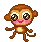 Cute monkey