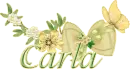Spring Carla