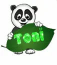 Panda with name Toni
