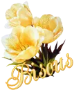 fleur bisous