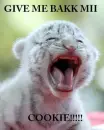 cute