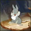 bunny