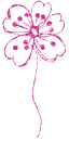 pink flower
