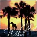Wild 