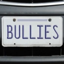 bullies license plate