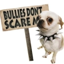 bullies dont scare me