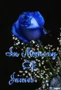 In Loving Memory of James