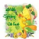 Tweety loves spring