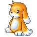 cute bear