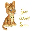 Get Well Soon