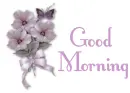 Good Morning