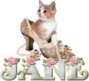 Jane