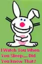 I Watch You When You Sleep