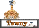 Cat Blinkie with Tawny
