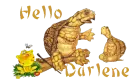 Hello Darlene