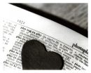 Dictionary 