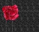 Pinup Red Rose