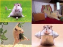 AwWwW So FrEeKiN cUtE