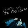 lying in the meadow