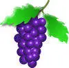 Ø¹Ù†Ø¨