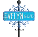 blue street sign evelyn BLVD