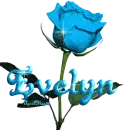blue rose evelyn