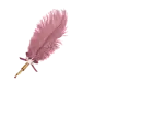 Feather Pen Rose - Evelyn