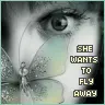 fly away