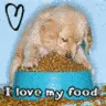 Puppy Love