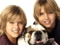 cole and dylan