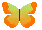 little_butterfly
