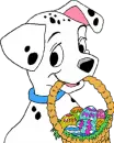 Dalmation 