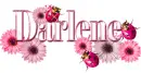 Darlene ... ladybugs