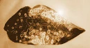 Gold lips