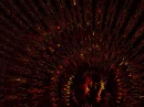 Flames of Lust