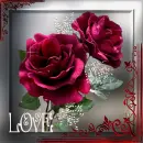 Roses with Love