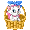 cute kitty