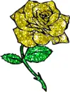 rosa