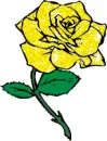 rosa