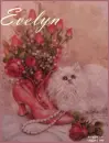Cat- Evelyn