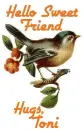 Hello Sweet friend-Hugs Toni