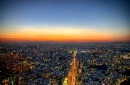 Tokyo 5