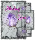 Miss you purple rose