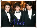 max jonas brothers picture 