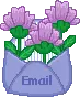E Mail