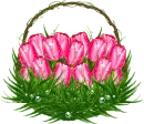 Basket with tulips